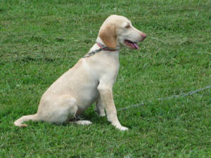 img_1076.jpg